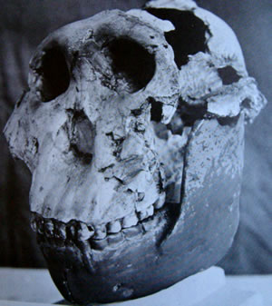  Luberon Provence Vaucluse Parc R�gional du Luberon