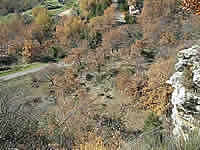 Luberon Vaucluse Provence location vente