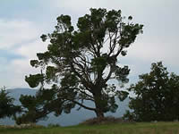 Luberon Vaucluse Provence location vente