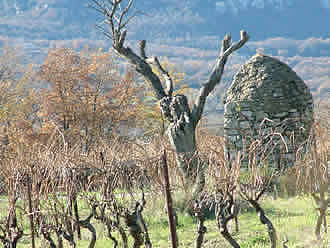 Luberon Vaucluse Provence location vente