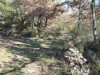 Luberon Vaucluse Provence location vente