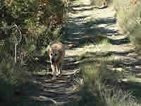 Luberon Vaucluse Provence location vente